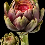 Cook Artichokes + Easy Recipes First Image